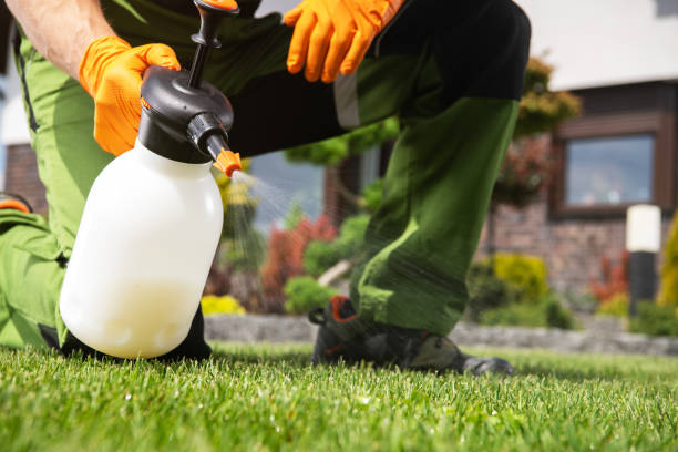 Professional Pest Control in Pendleton, SC