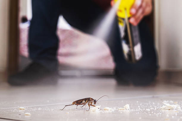 Pest Control Cost in Pendleton, SC