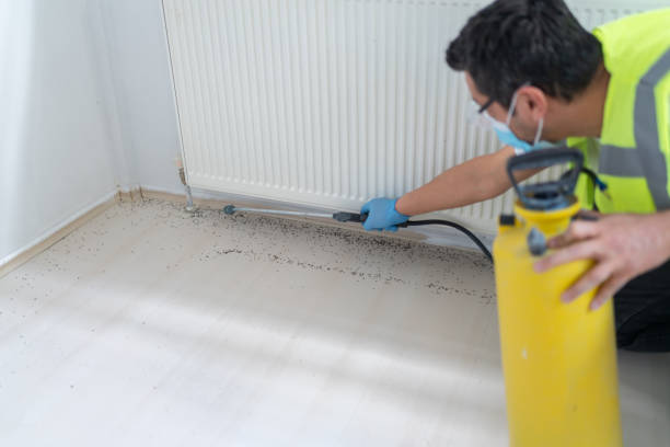 Best Pest Removal Services  in Pendleton, SC